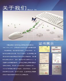 上海聯(lián)啟網(wǎng)絡(luò)科技 引領(lǐng)未來的網(wǎng)絡(luò)技術(shù)開發(fā)專家